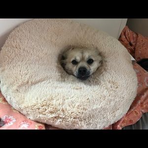 Meet your Posher, Veronica